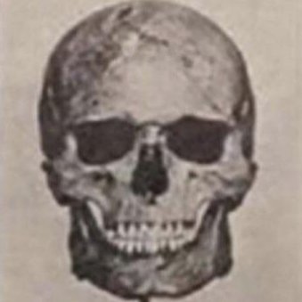 zalmoxis's avatar