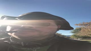 I stand with Israel