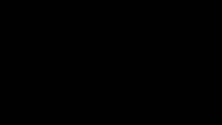 STEAMBOAT BILL JUNIOUR 1928