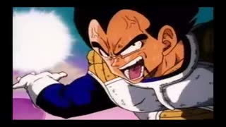 Vegetaids