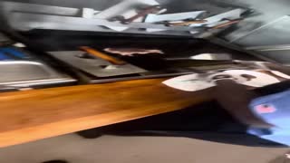 AMAZING work ethic demonstrated young excellent staff in WAFFLE house
