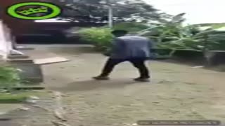 crazy africa fight