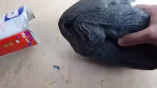 Cellphone VS Steel Wool