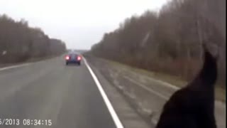 bear style